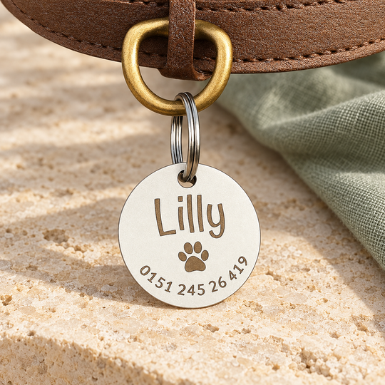 Edelstahl-Hundemarke Lilly mit Pfote und Telefonnummer am Lederhalsband