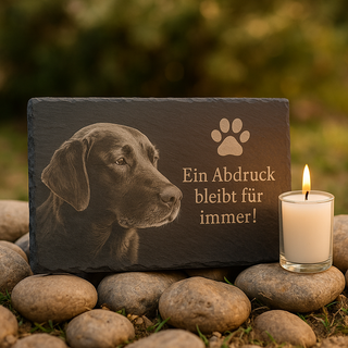 Schiefer Tiergrabstein Gedenktafel mit Gravur 30x20 cm wetterfest personalisiert - Individuelles Foto und Text