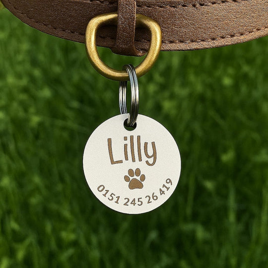 Personalisierte runde Edelstahl-Hundemarke mit Name, Pfotenmotiv und Telefonnummer