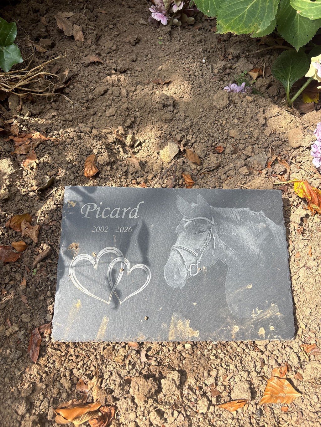 Gedenktafel für Picard am persönlichen Erinnerungsplatz
