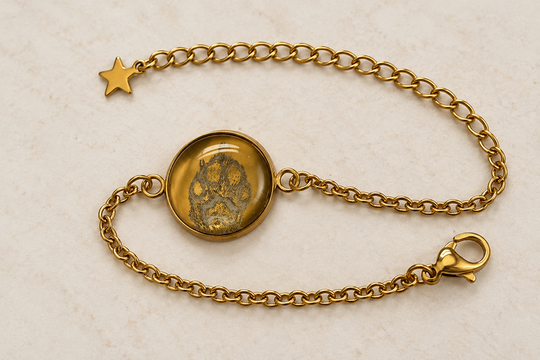 Goldfarbenes Edelstahl-Pfotenarmband mit Beispielgravur und Glaskuppel, auf Basis einer Originalaufnahme digital aufbereitet.
