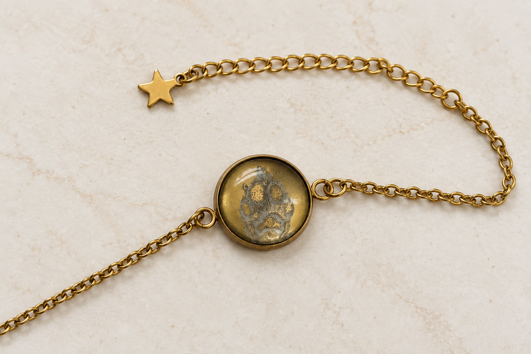 Verlängerungskette und Karabinerverschluss des goldfarbenen Pfotenarmbands.