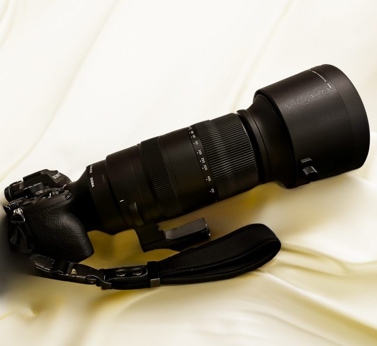 Professionelle Kamera mit großem Teleobjektiv – hochwertige Ausrüstung für Tierfotografie und Portraits.